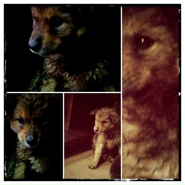 №24, Надежда Ромашкина, Санкт-Петербург, Россия №24, Надежда Ромашкина, Санкт-Петербург, Россия