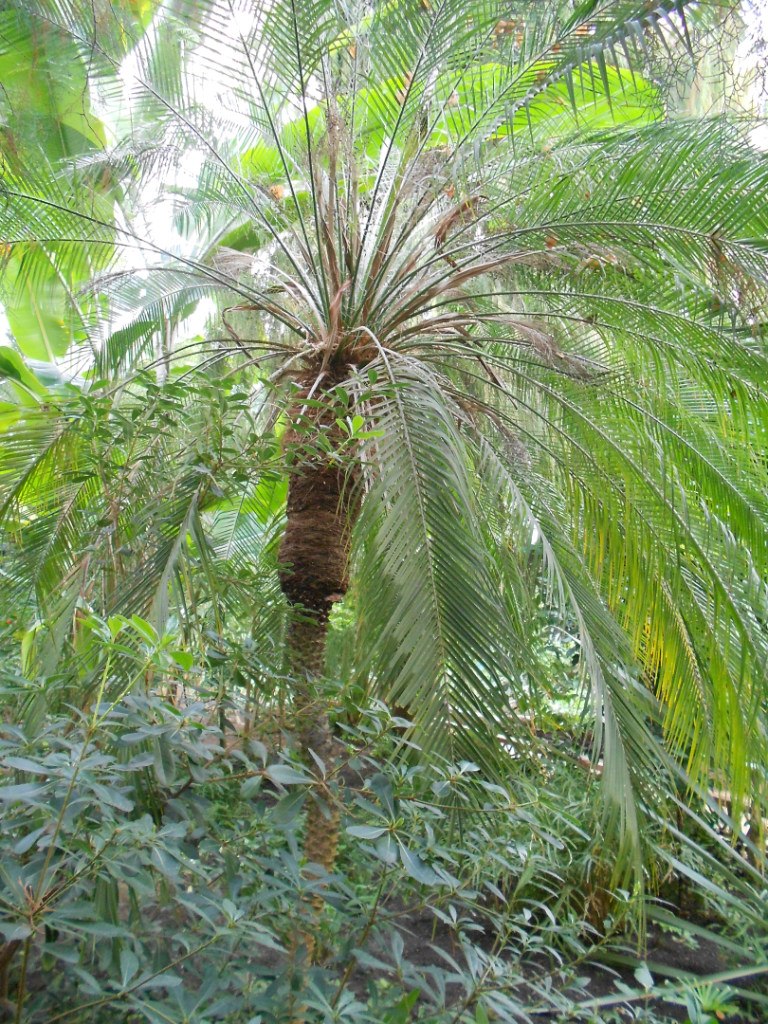 Алия Башарова | Уфа