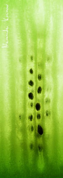 №152, Александр Крюков, Тамбов №152, Александр Крюков, Тамбов