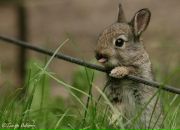 Фотография Анастасия Чаденкова