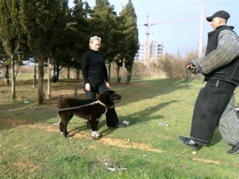 №23, Руслан Гордеев, Львов №23, Руслан Гордеев, Львов