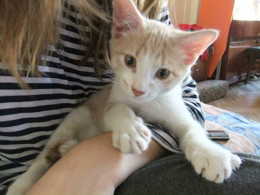 Валентина Маргальникова | Санкт-Петербург