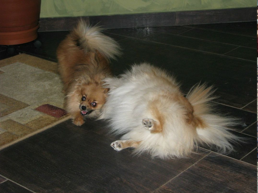 Юля Иванова | Санкт-Петербург