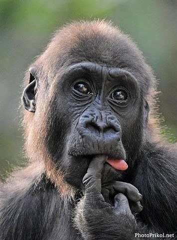 Виктор Захаров ОверЙа | Саратов