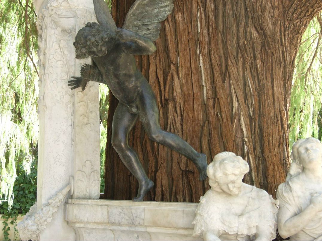 Maria Herman | San José