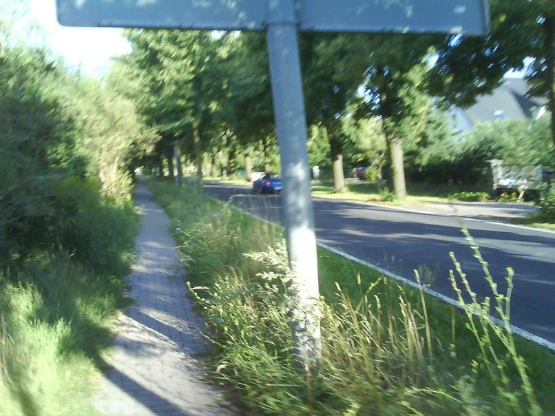 Владимир Бардашевич | Почеп