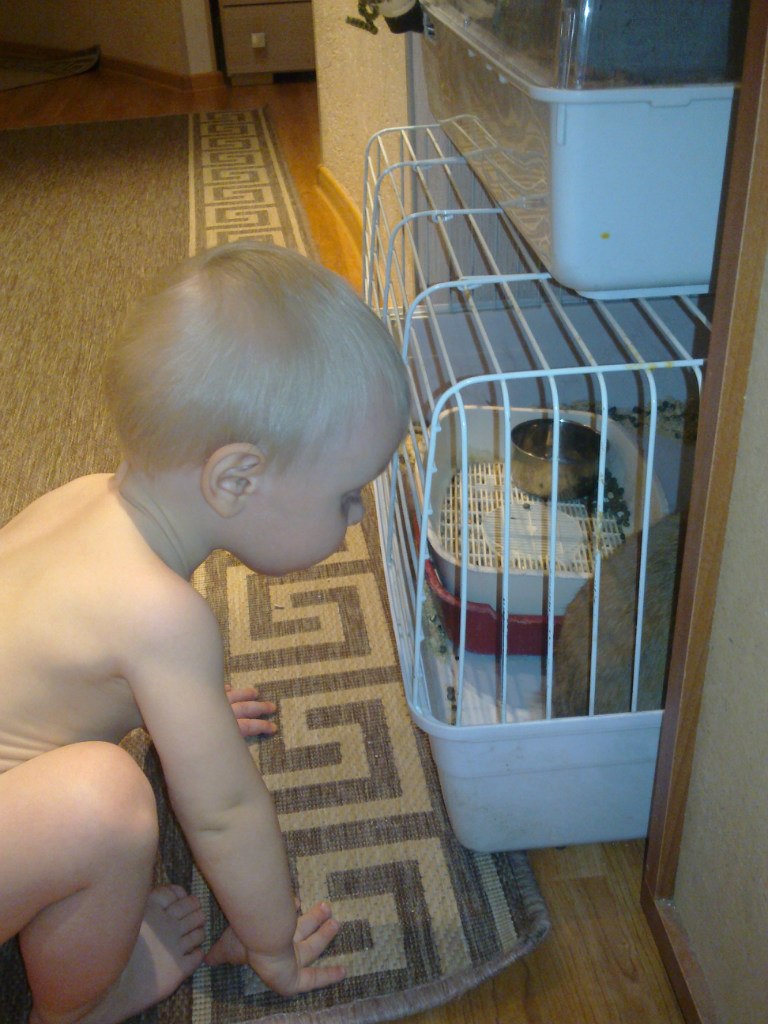 Алексей Милицин | Пермь