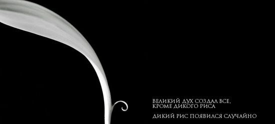 Елена Москвина | Ухта