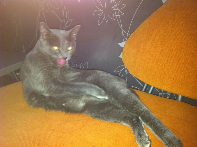 №148, Мария Фролова, 39 лет, Челябинск №148, Мария Фролова, 39 лет, Челябинск