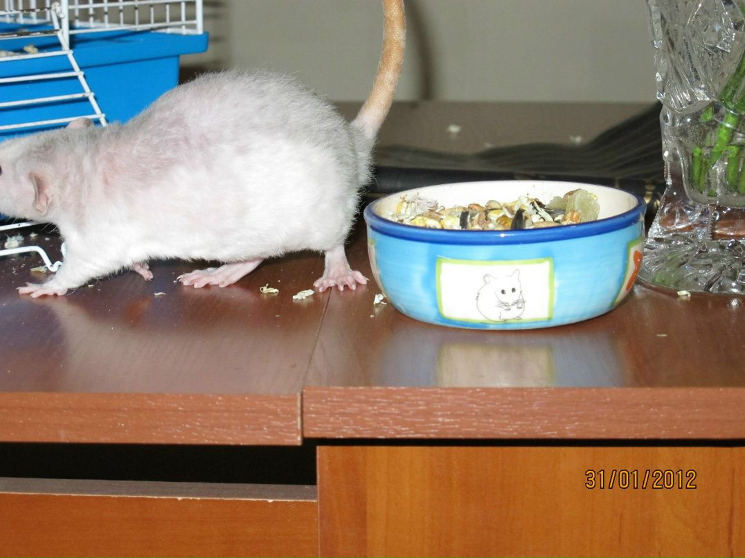 Анастасия Кучукова Zam-Zam | Москва