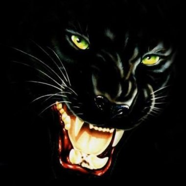 Юлия Лозовая | Подпорожье