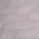 №14, Дашунчик Лаврова №14, Дашунчик Лаврова