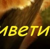 №7, Вадім Пішта №7, Вадім Пішта