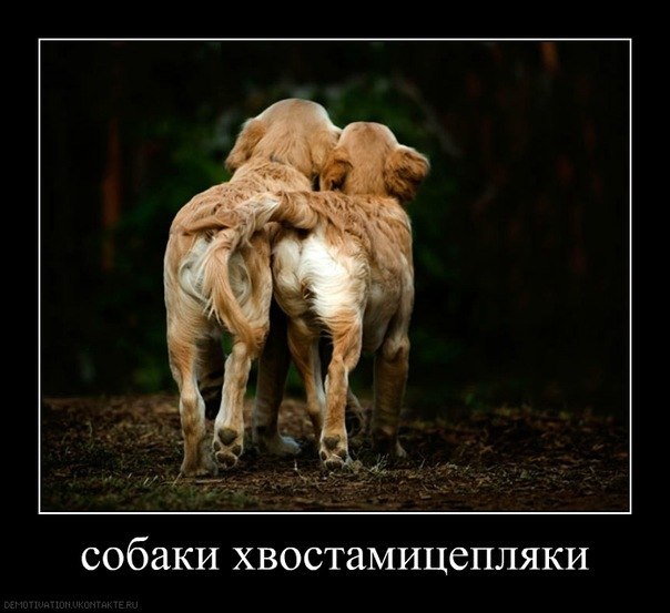 Юля Капелюшок | Киев