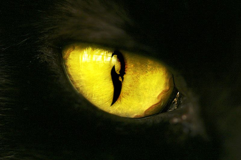 Илья Матвеев Ваудоукс | Барнаул