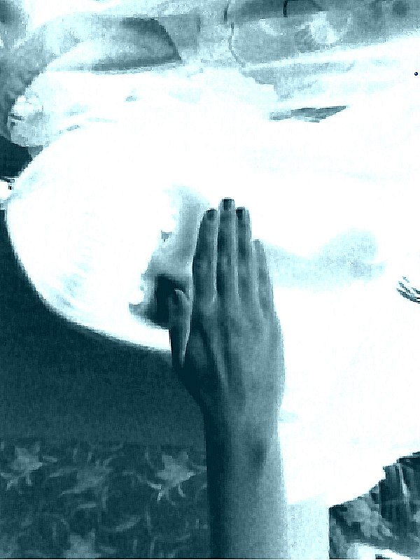 Анна Лайер | 