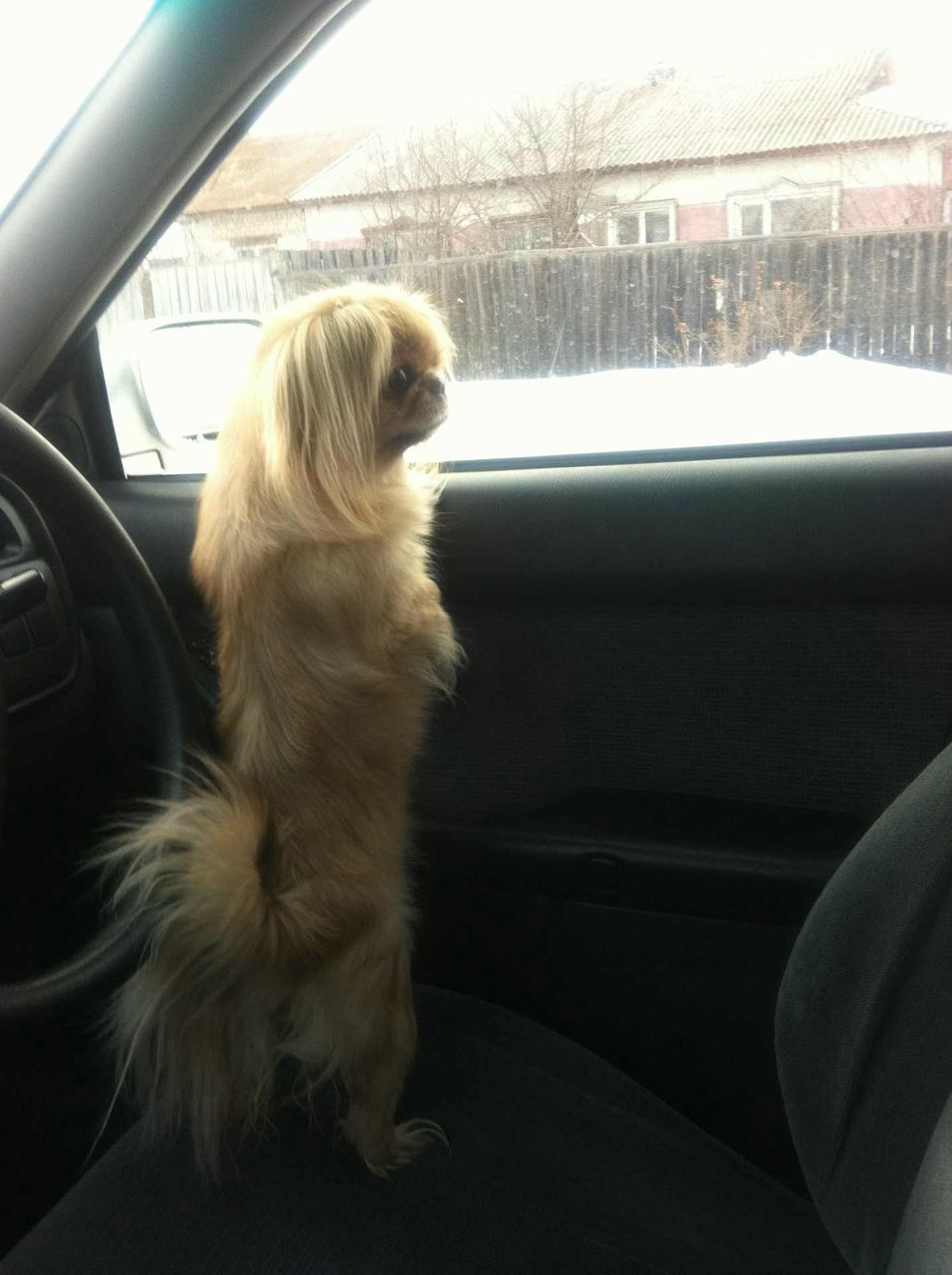 Юлия Алимова | Шарыпово