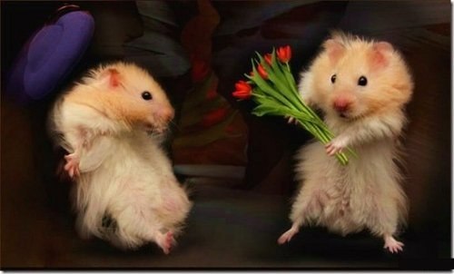 Віктор Головачко Володимирович | Берегово