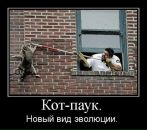 Фотография Влад Марьясов