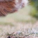 №130, Сергей Подройкин, 43 года, Волгодонск №130, Сергей Подройкин, 43 года, Волгодонск