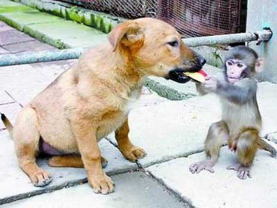 Vladimir Shmakov | Новосибирск