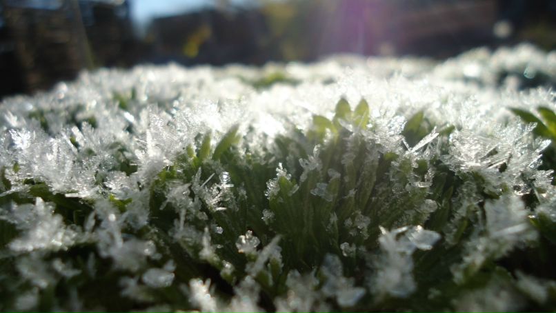 Анастасия Баукина | Коломна