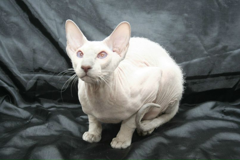 Алёна Секретарёва | Пловдив