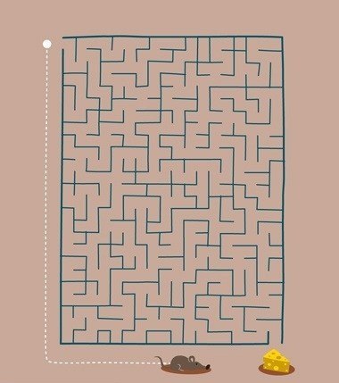 Константин Шумков | Екатеринбург