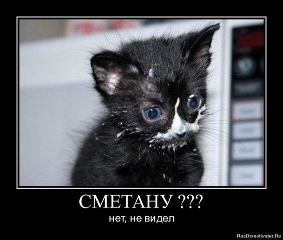 Наталья Лапшаева | Москва