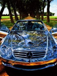 Даурен Донгулов Donrich Inc. | Алматы