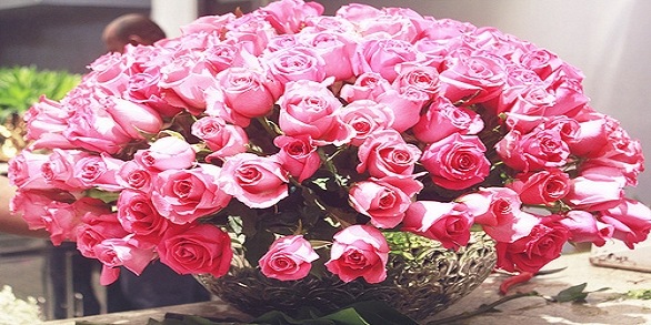 №4, Рания Исмагилова, Казань №4, Рания Исмагилова, Казань