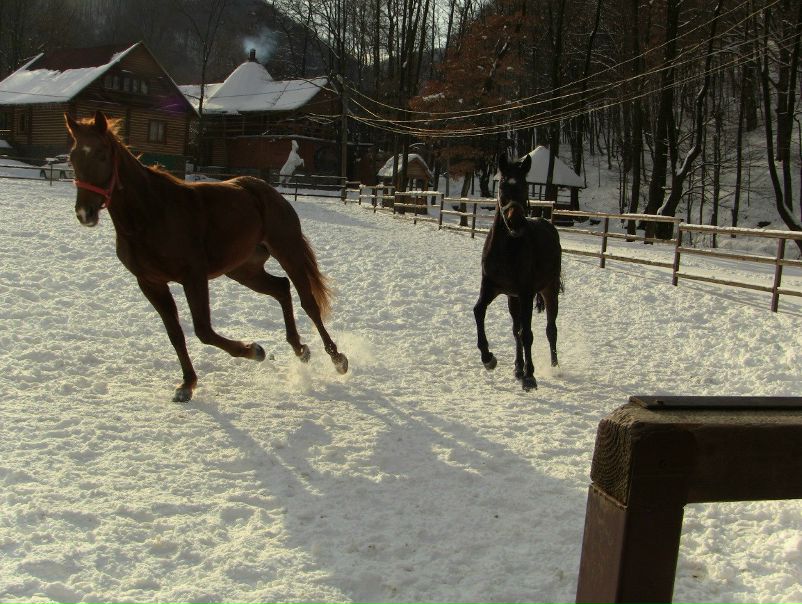 №64, Екатерина Ворошило, Киев №64, Екатерина Ворошило, Киев