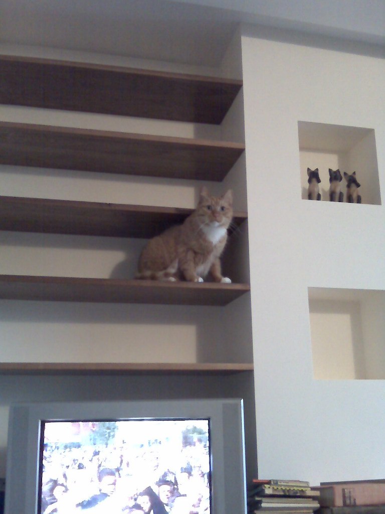 Агван Железнов | Санкт-Петербург