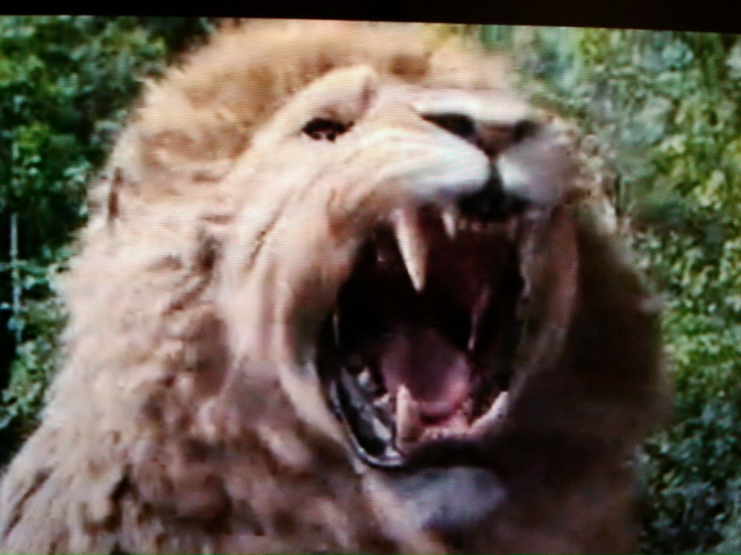 Максим Базыленко Maskit | Минск