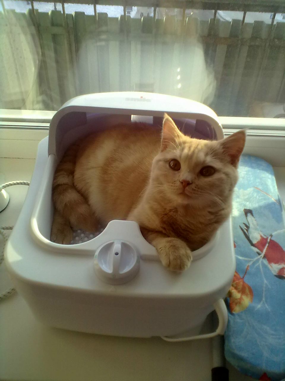 Екатерина Мошкова | Иркутск