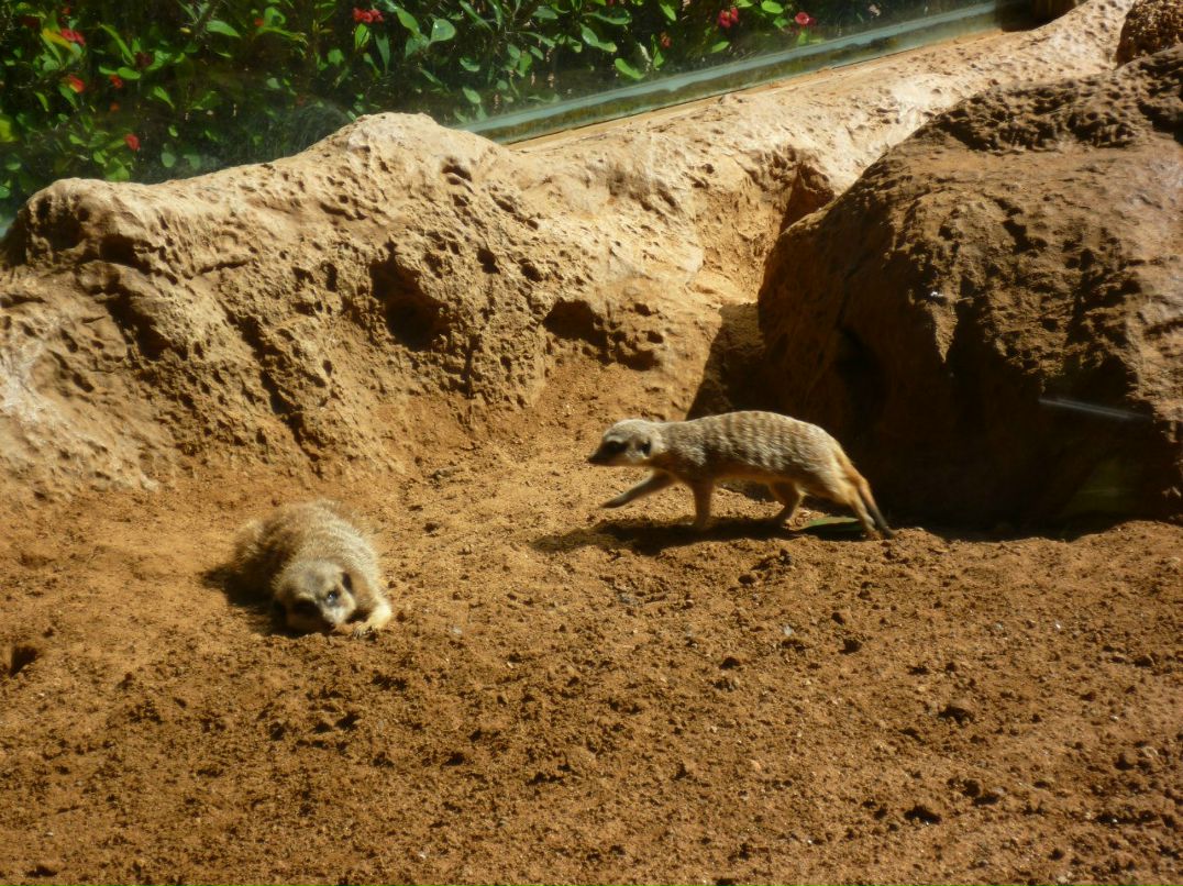 Андрей Иванов | Санкт-Петербург