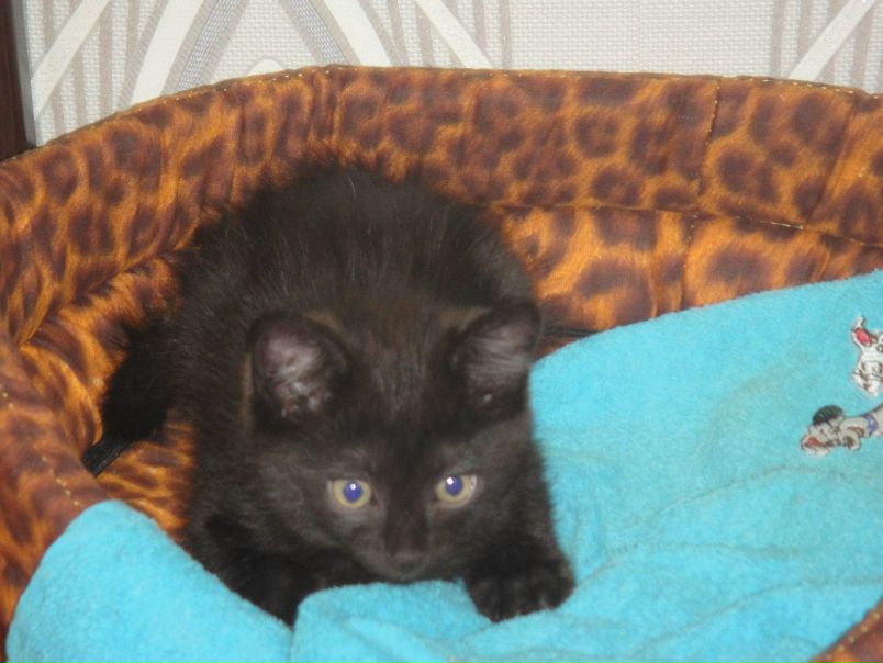 №20, Таня Литвиненко, 43 года, Хабаровск №20, Таня Литвиненко, 43 года, Хабаровск