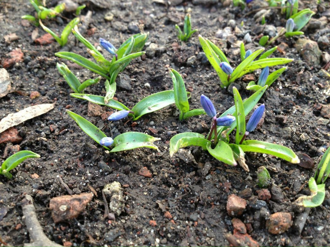 Александра Климашевич | Минск