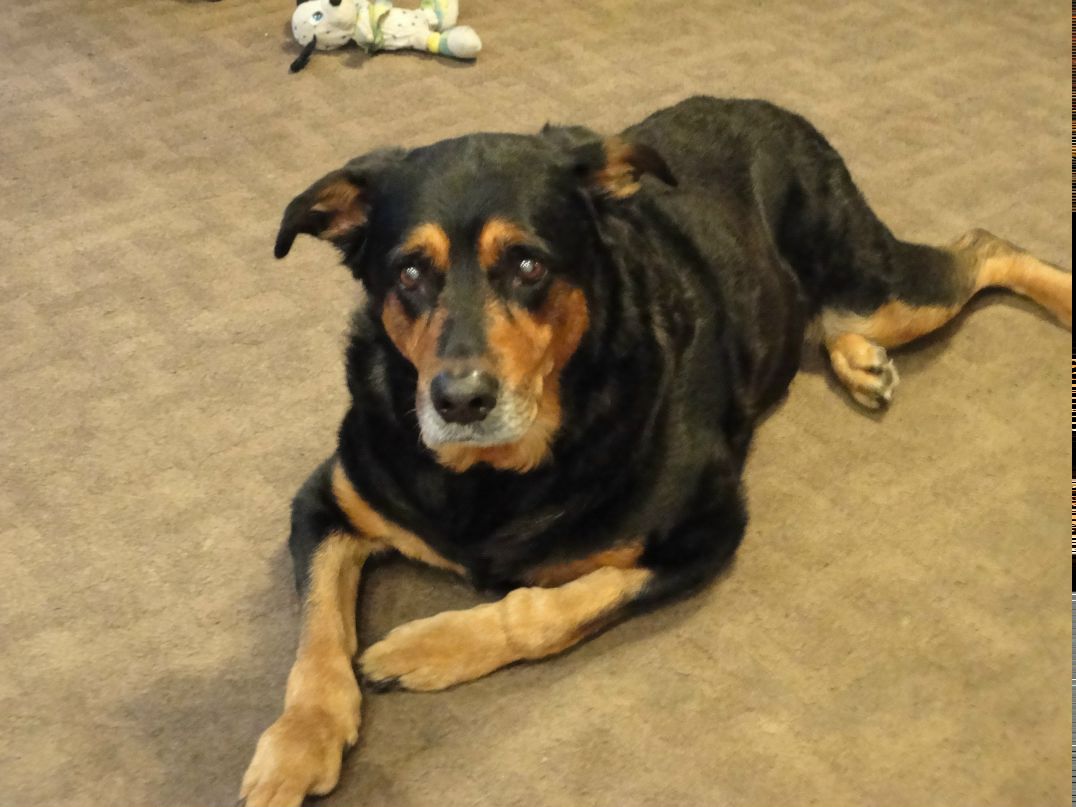 Константин Иванов Avaren | Санкт-Петербург