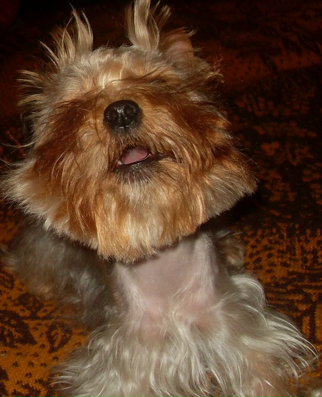 Ines Gilbert | London