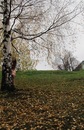 Полина Пак, 26 лет, 03.08.1998