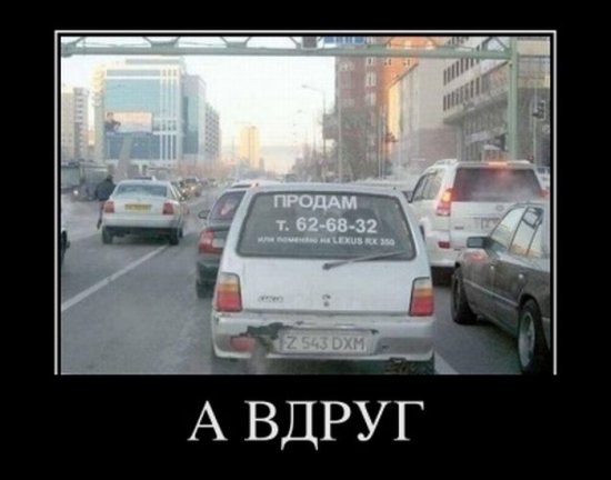 Олег Шевченко | Черкассы