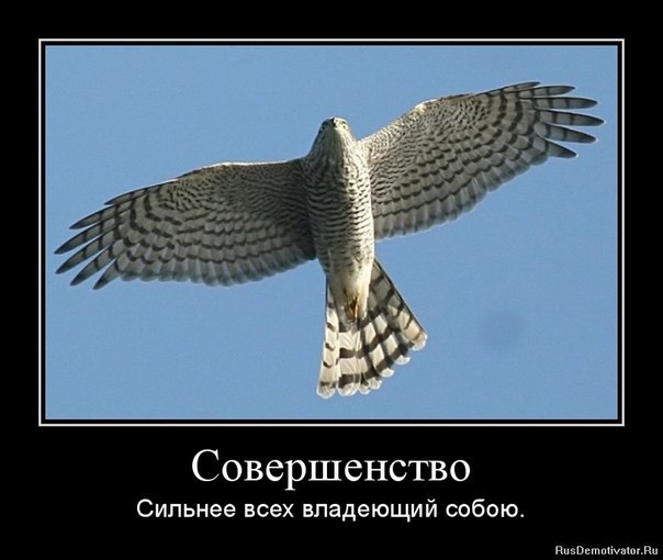 Сергей Новосад | Луцк