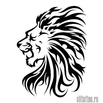 Максим Ильчук | Киев