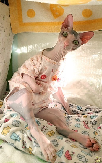 №112, Розалия Хужина, Мурманск №112, Розалия Хужина, Мурманск