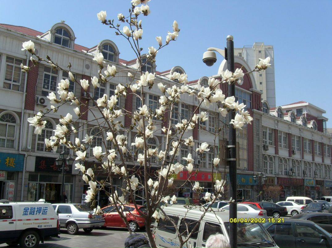 Михаил Жуковский | Петропавловск-Камчатский