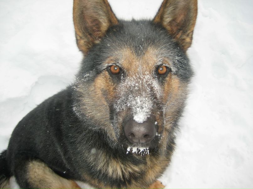 Александр Васильев | Лоухи