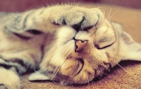 Светлана Кандилова | Казань