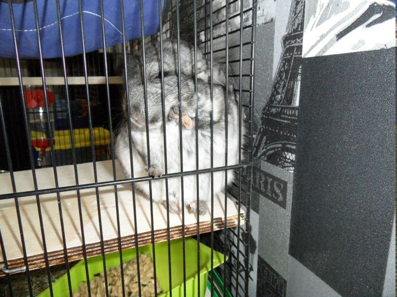 Николай Гусев | Нижний Новгород