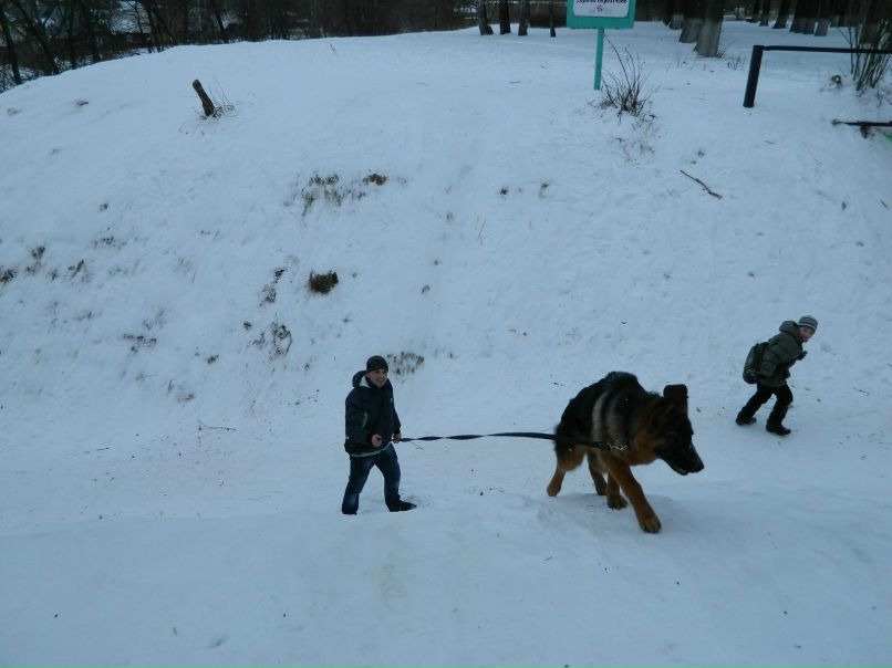 Петр Мирошников | Нерехта